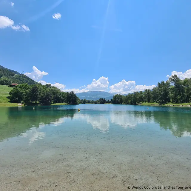 Découverte de la botanique