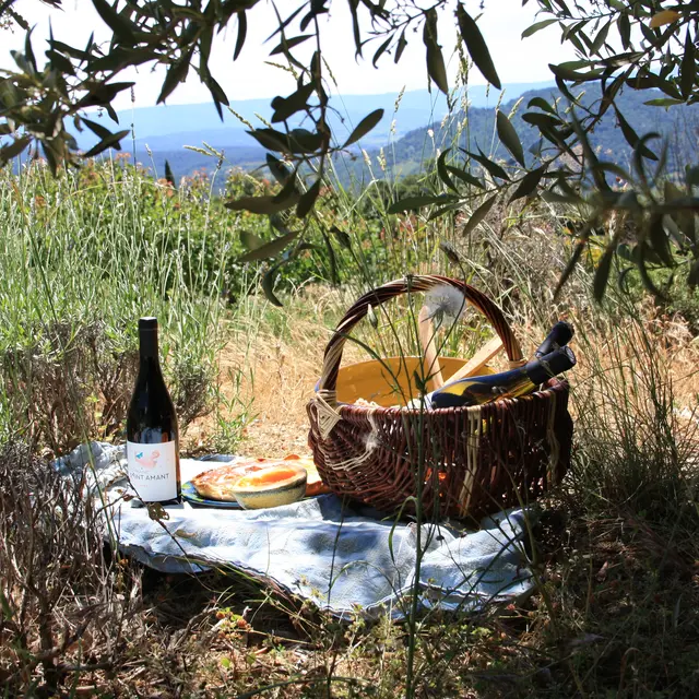 Pique nique à Saint Amant