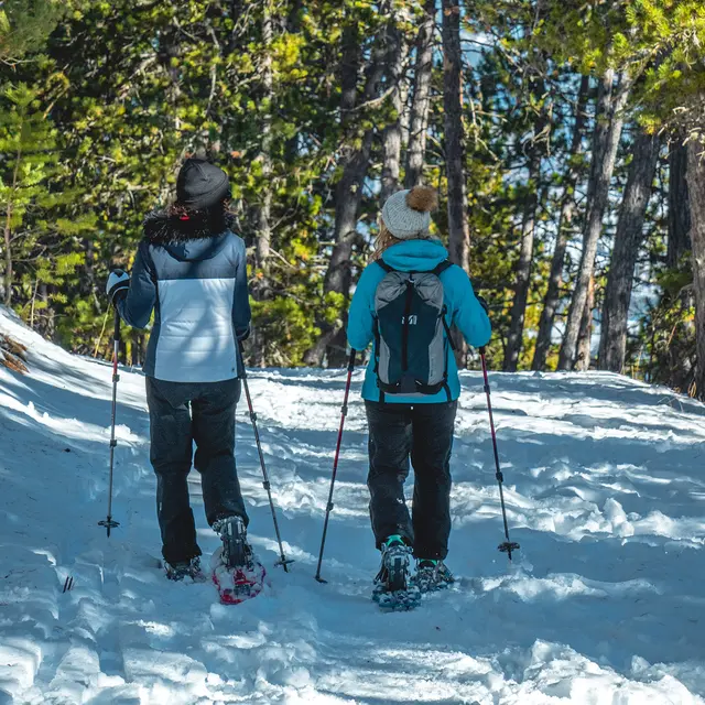 Itinéraire raquettes Rocher Jaumas