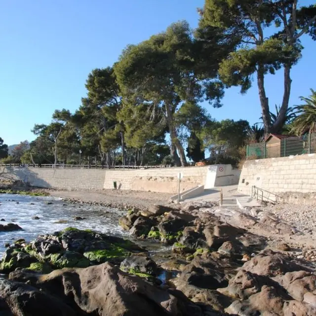 Plage des Pins Penchés