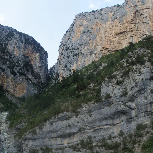 mur d'escalade