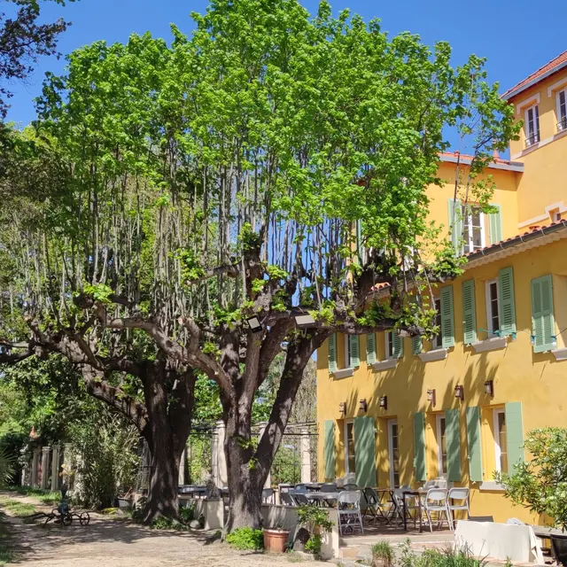 Les Saveurs de l'A.M.E