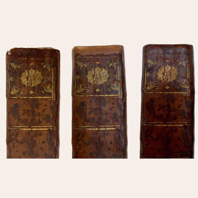 Atelier Laurie Fouillen