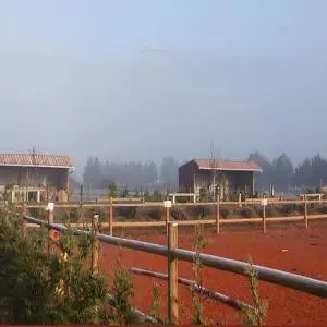 13SP000607_1_WEB.jpg