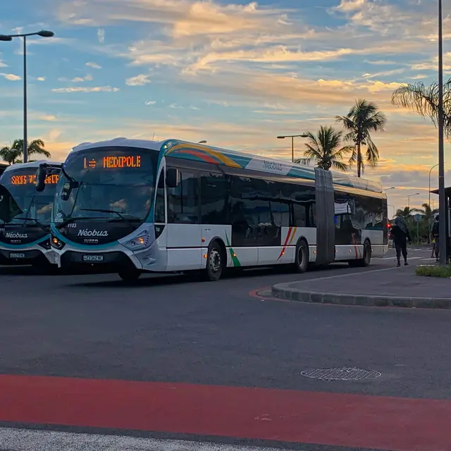 Transport en commun - Bus Tanéo