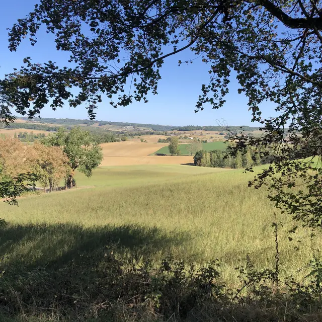 Circuit des oiseaux de Labarthe_Labarthe