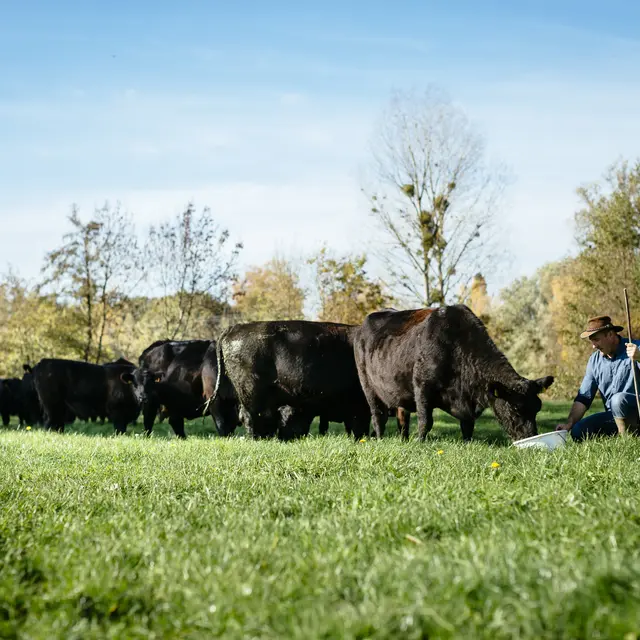 Elevage La Ferme du Trefle