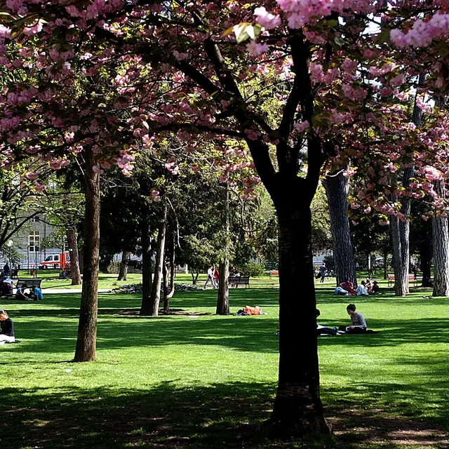 parc-verney1.jpg