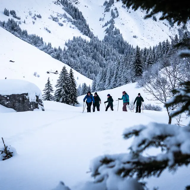 Randonnée collective en raquettes avec le Bureau des Guides_La Clusaz