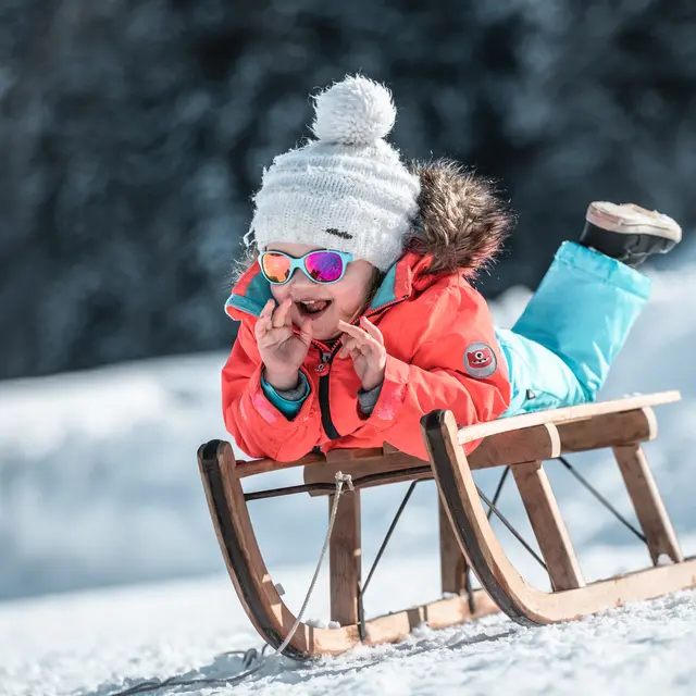luge