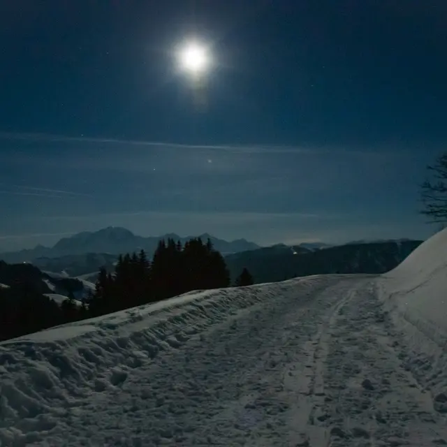 Sortie raquette à la pleine lune