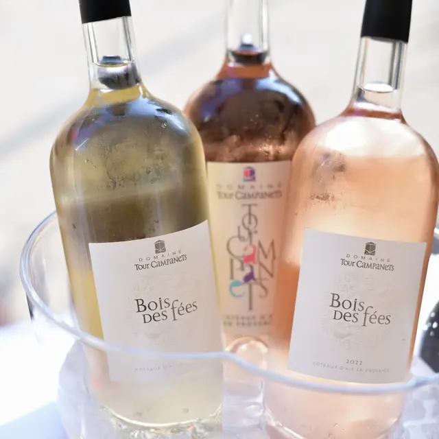 Dégustation de vins