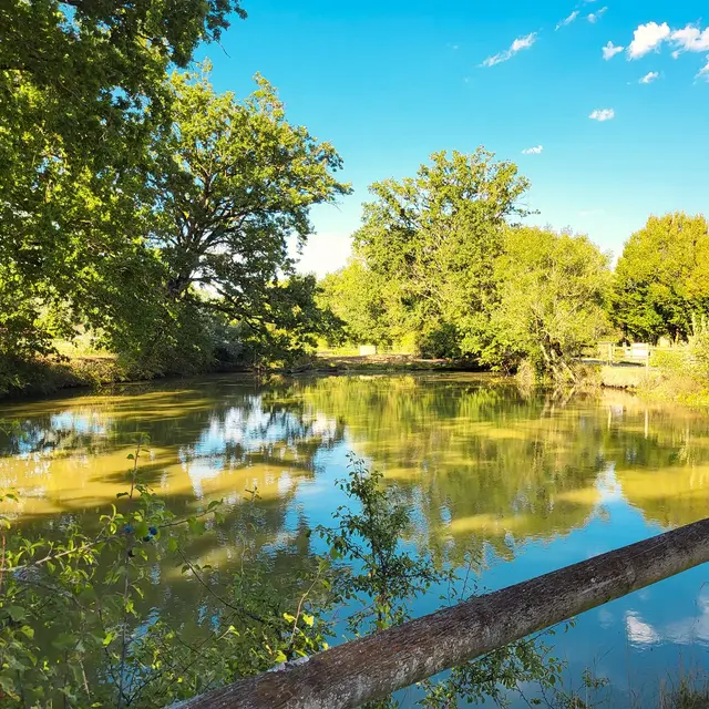Mare à l'entrée des écuries