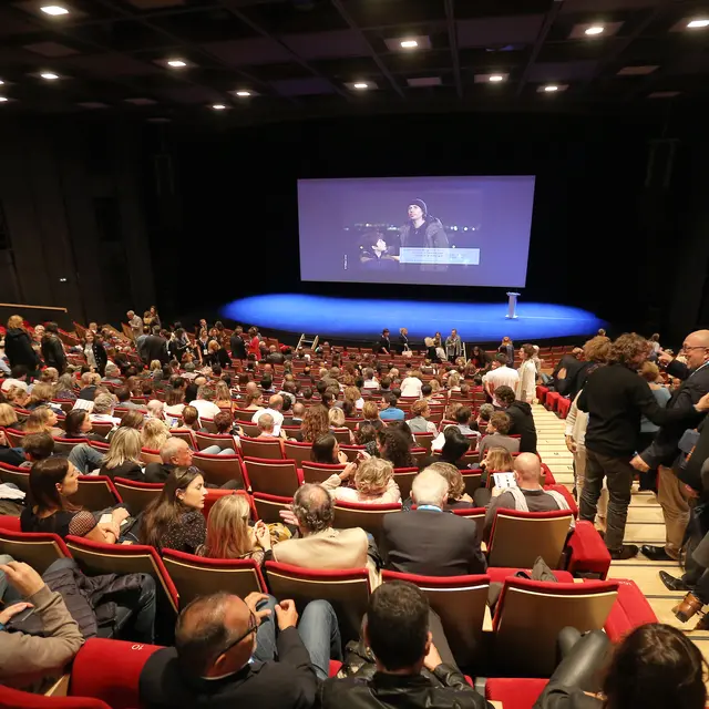 Festival de la Fiction