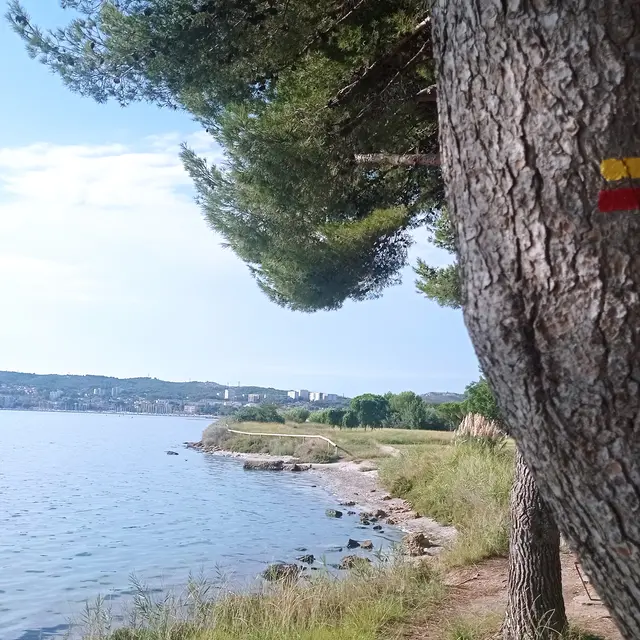 De la rode à Figuerolles