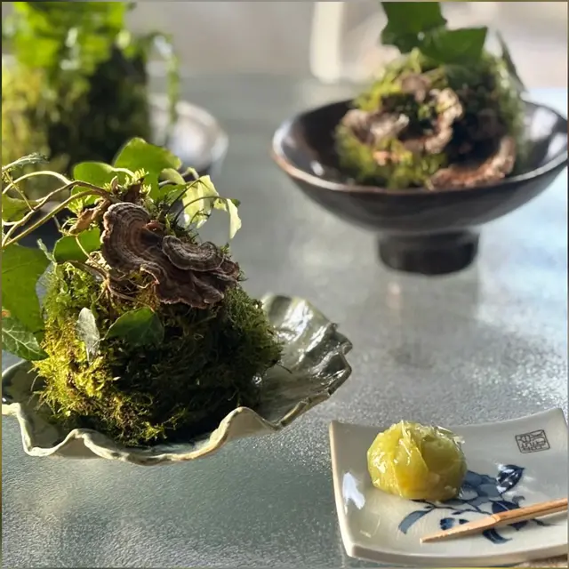 Atelier Kokedama japonais_Thônes