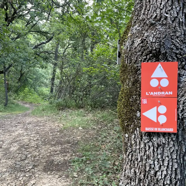 Enduro du Sommet de l'Andran N°18A Digne-les-Bains