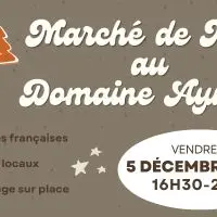 Marché de Noël_Carpentras