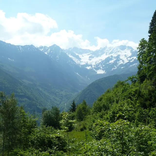Balade sur le Sentier du Fer et atelier 
