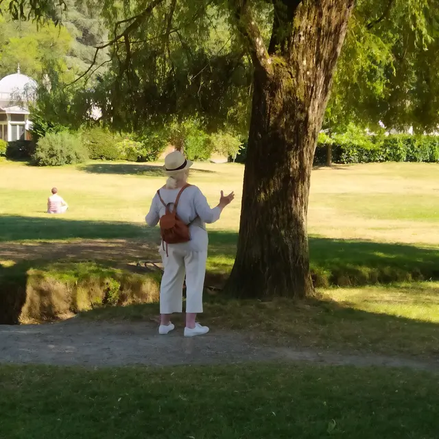 Dialogue avec l'arbre