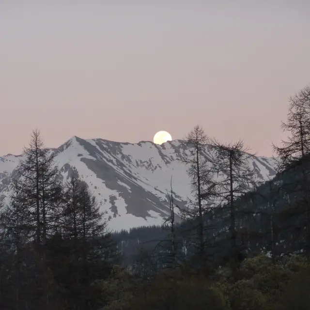 Valgo Champsaur Sauvage