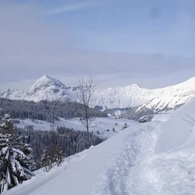 Vue depuis Le Mont-Rond