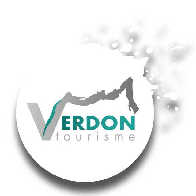 logo VT