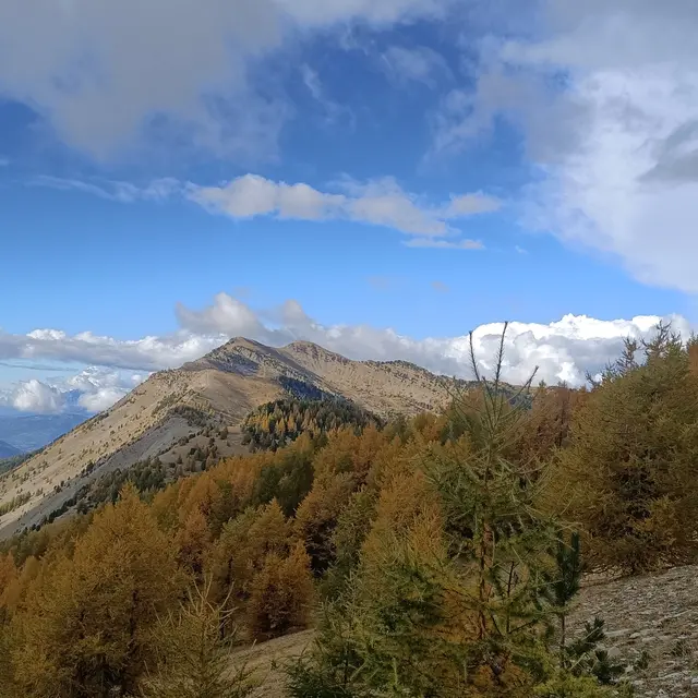 Randonnée journée_Montclar