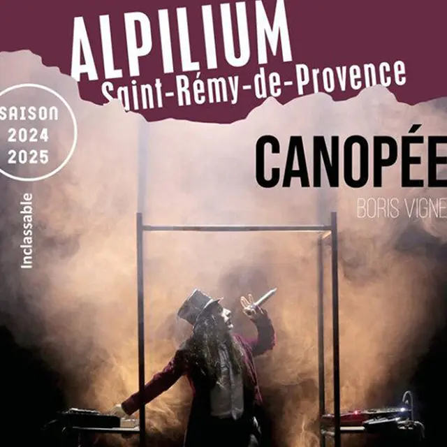 Alpilium : Spectacle Canopée_Saint-Rémy-de-Provence