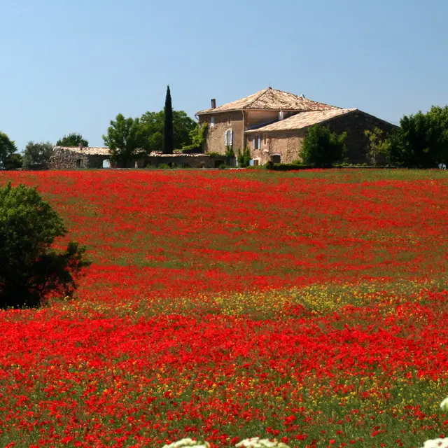 Le Clos de la Tuilerie