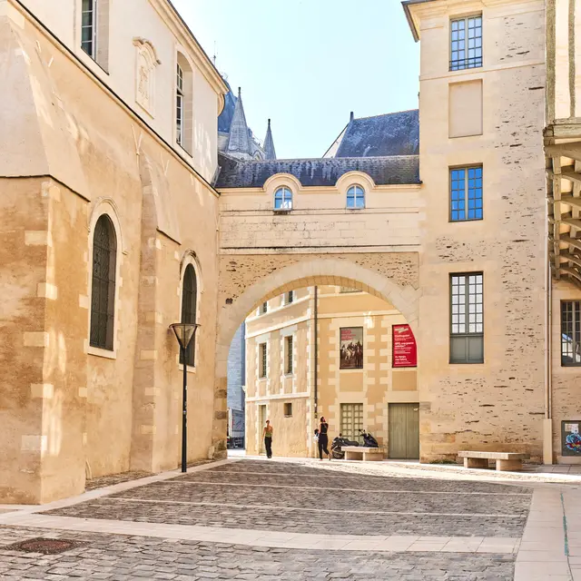 Rue du musée des Beaux-Arts
