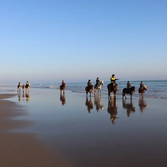 Balade sur la plage