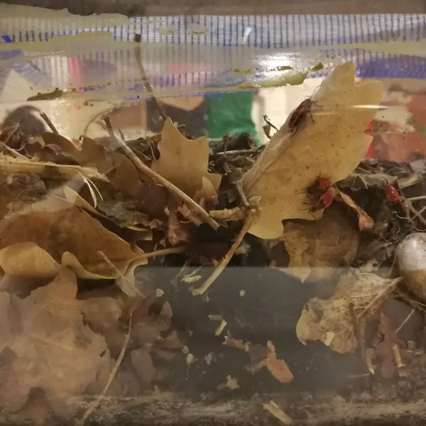 Les mercredis de l'Agora_Marseille