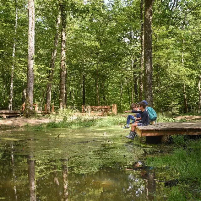 Musique en chemin_Sallèdes