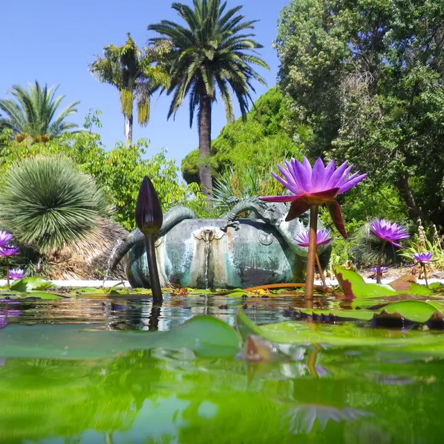 Jardin Serre de la Madone