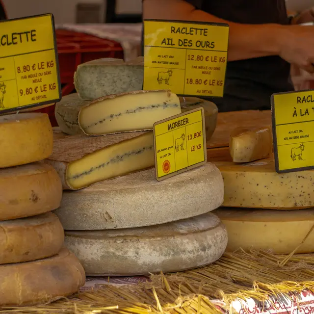 Folie(s) Végétales 2026 - Atelier fabrication de fromage_Thonon-les-Bains