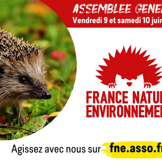 Assemblée générale : FNE