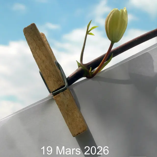 Exposition collective La Grande Lessive à Novalaise