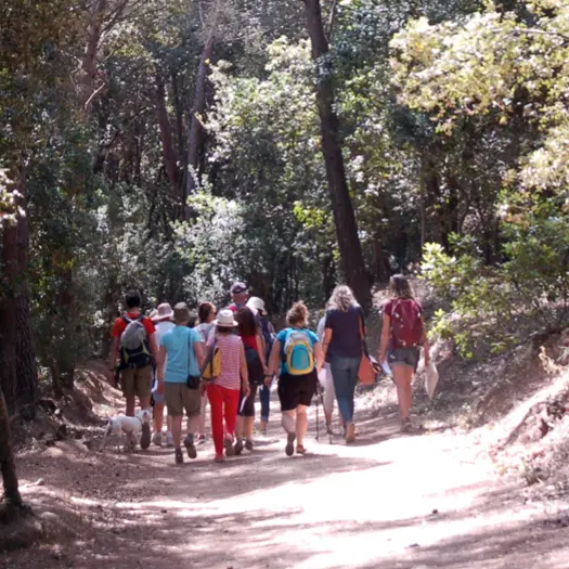 Balade nature et bien-être à Giens_Hyères