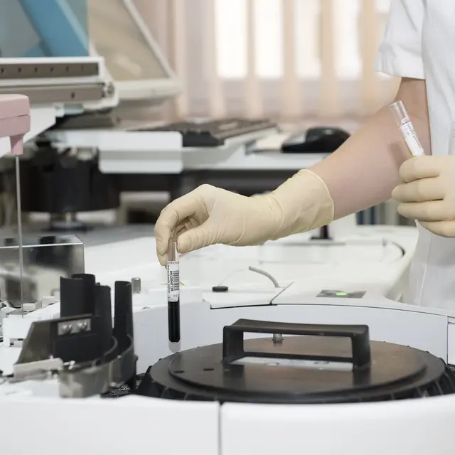 Laboratoire