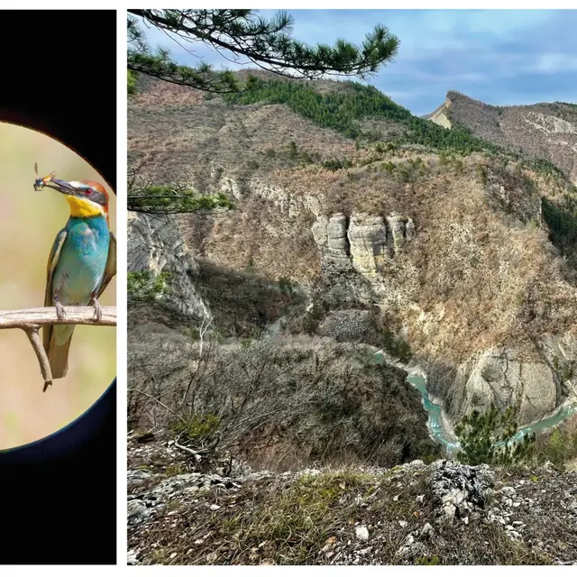 Gorges du Vançon et Guêpier
