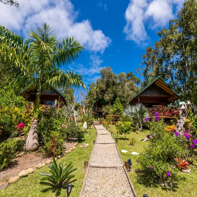 Oasis de Tendéa - vue d'en bas