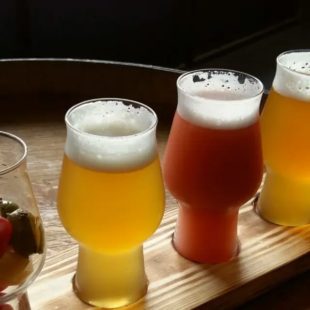 Du houblon à la chope_Carcès