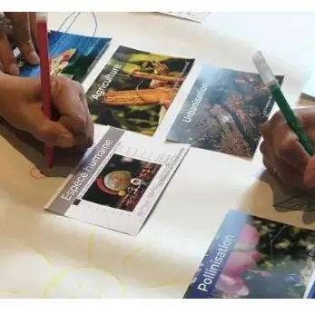 Fresque de la biodiversité