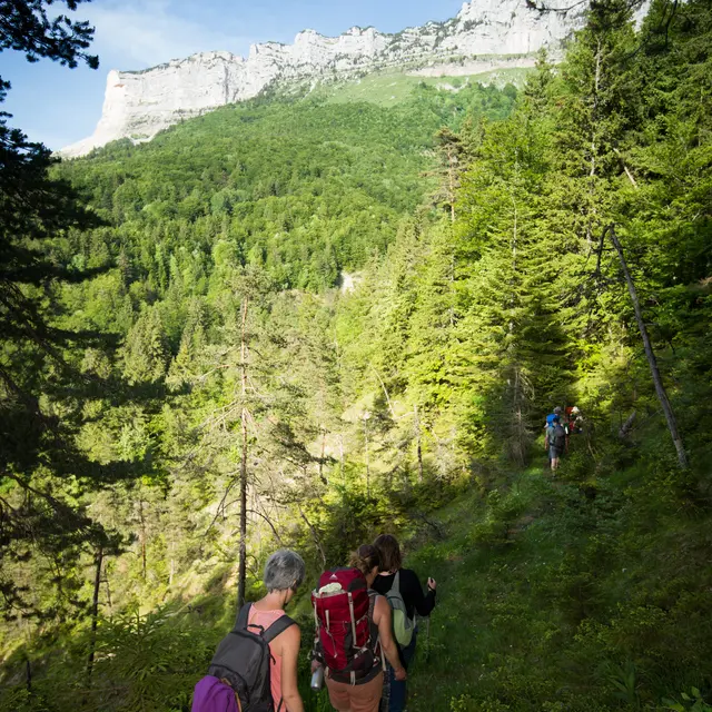 Rando’Piano | Randonnée en forêt et concert_Saint-Pierre-de-Chartreuse