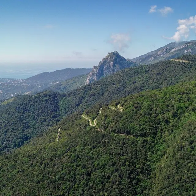 Parc Naturel Départemental de l'Ubac Foran