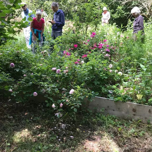 ACT_Découverte de jardins en agroforesterie_GebNout_découverte des jardins