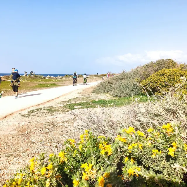 Marche en boucle Carro-Carro_Martigues