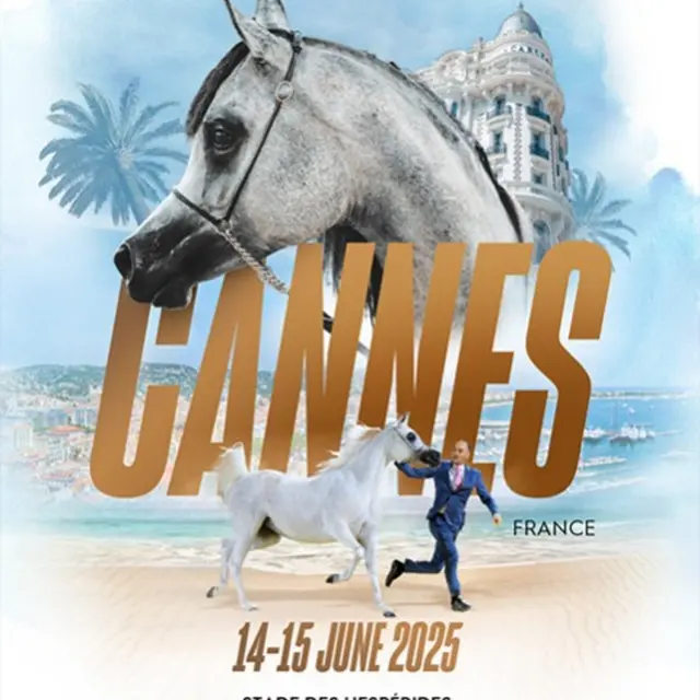 Global Champions Arabians Tour_Cannes