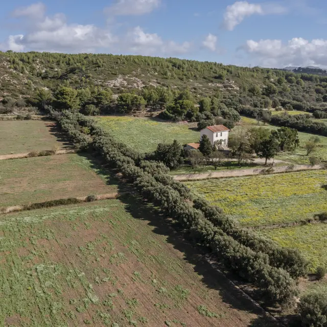 Les Dîners Insolites au Domaine de la Bétheline_Marseille